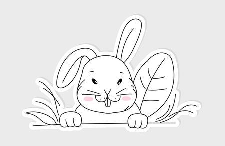 Rabbit Bunny hand drawn character for baby t-shirt, kids fashion print, Easter, greeting cards, baby shower. Vector doodle illustration isolatedのイラスト素材