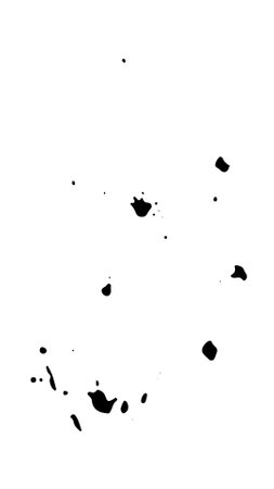 Spray paint brush, splatter patterns, texture, ink drop on vector.のイラスト素材