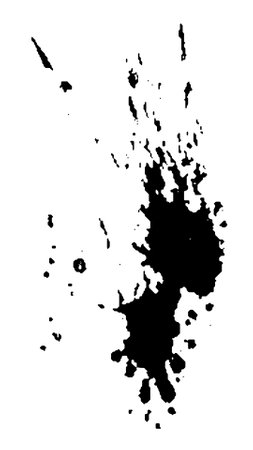 Spray paint brush, splatter patterns, texture, ink drop on vector.のイラスト素材