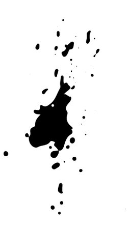 Spray paint brush, splatter patterns, texture, ink drop on vector.のイラスト素材