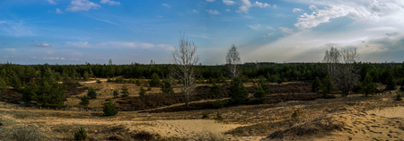 nature mountains pine forest. Calm blue skyの写真素材