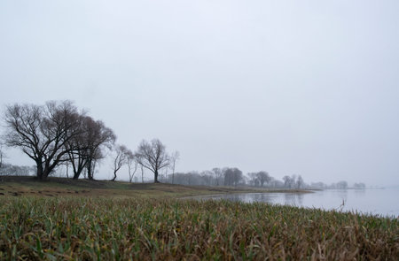 Abandoned place landscape, early morning fog. Calm water, misty lake background. Dark silhouettes of...
