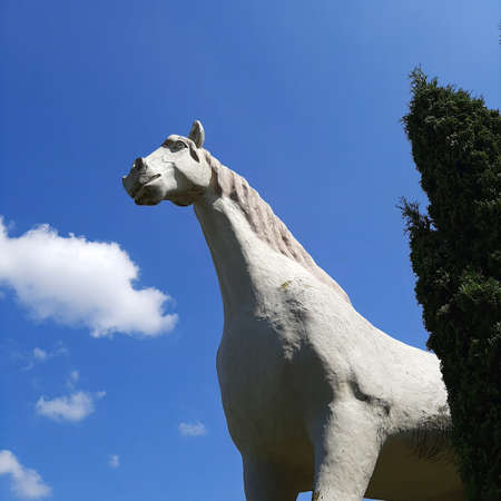 Primitive sculptures are made of concrete. Sunny day.の写真素材