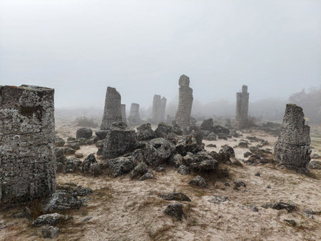 Sunrise fog over stone forest formation called pobiti kamani. Bulgaria near Varnaの写真素材