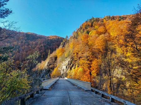 Amazing panorama view of the highest road in the Romanian Parang mountains - Transalpinaの写真素材