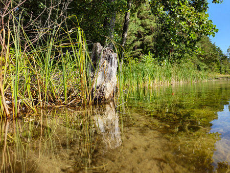 Photo of the lake with the bottom of the lake visible. Europeの写真素材