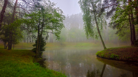 Misty lake with lush green grass and trees. Nord Europeの写真素材