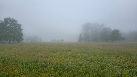 Misty park path with trees and a bench. Nord Europeの写真素材