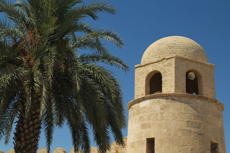 Islamic mosque tower with a palm in foreground