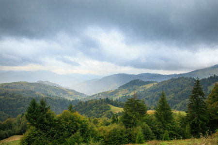 green Carpathians mountains autumn landscape with an overcast sky and spruces in foregroundの写真素材