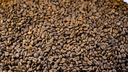 Coffee beansの写真素材