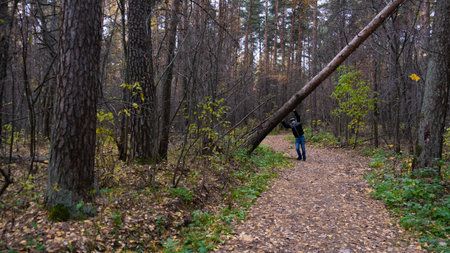 Autumn path in the Russian forest.の写真素材