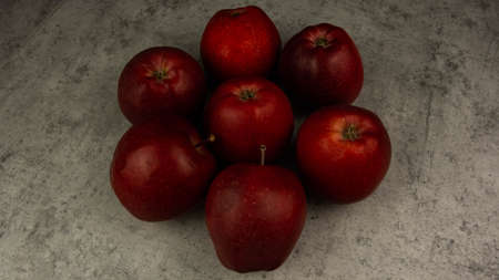 Red applesの写真素材