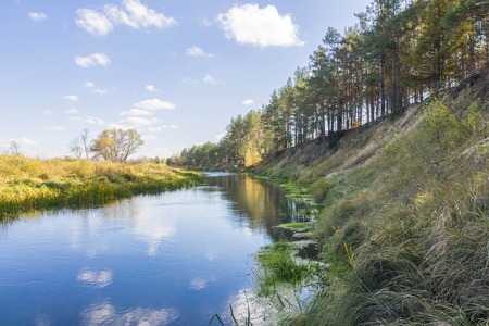 River on the edge of forest with blue sky and white clouds.の写真素材