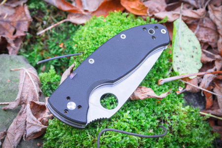Pocket knife folded. Photo knife in the woods on moss.
