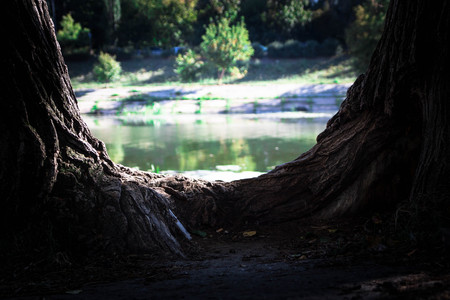 City and drugs. Drug abuse in the city. Addicts in the park. Addiction.の写真素材