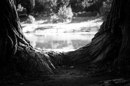 City and drugs. Drug abuse in the city. Addicts in the park. Addiction. Black and white photo.の写真素材