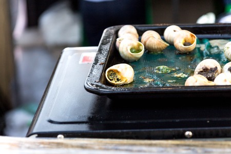 Preparation snails. Baked snails. Fried snails White snailsの写真素材
