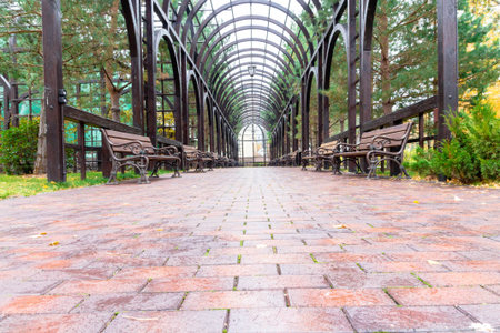 Park alley.