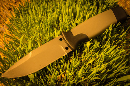 Fixed knife on grass. Warm teperature.の写真素材