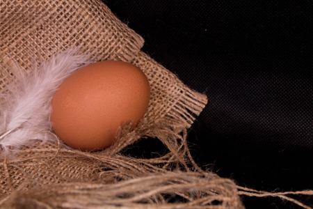 Chicken eggs and feathers on sacking. Black background.の写真素材