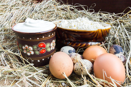 Rural cottage cheese, sour cream and eggs are different.の写真素材