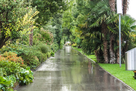 Park alley with flowers trees there. Montreux, Switzerland.の写真素材