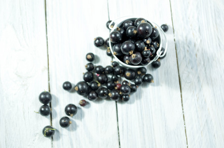 Blackcurrant berries in white bucket. White wooden background.の写真素材