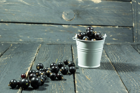 White bucket on black background. Berries of currant in bucket.の写真素材