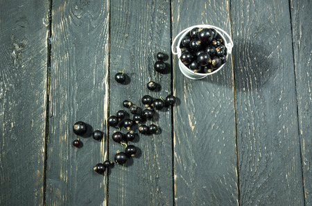 White bucket on black background. Berries of currant in bucket. Top view.の写真素材