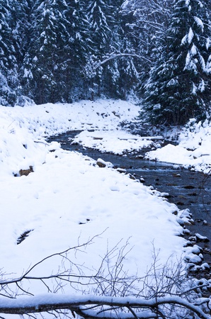The mountain river. River leading to the mountains.の写真素材