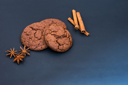 Homemade gingerbread and condiments. Front view. A ray of light. Composition on a dark background.の写真素材