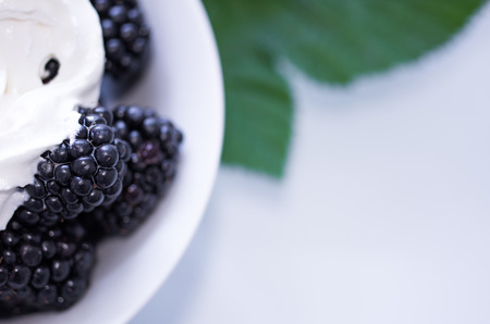 Macro photo of blackberry and cream. Copyspace.の写真素材