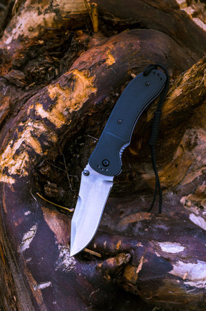 Photo knife on the nature. Photo of a knife on a tree.