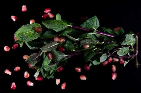 Scattered pomegranate berries. A bunch of mint. Top view.の写真素材