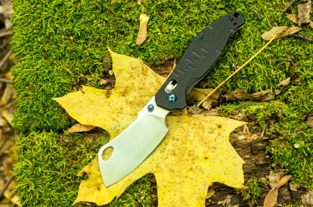A billhook knife on a maple leaf. Knife folding like an ax. Top.