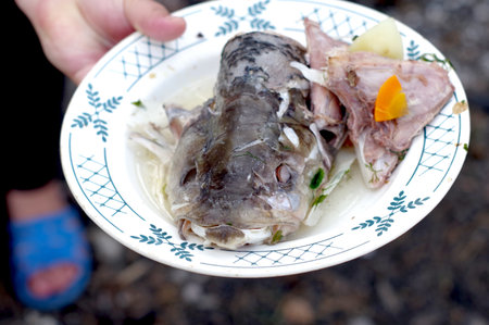 Catfish head on a plate. Boiled catfish in a plate. Catfish meat.