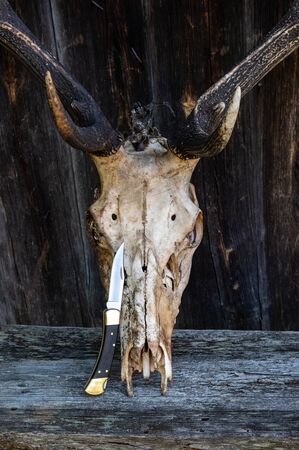 American knife and booty. Hunter knife. Vertical frame.の写真素材