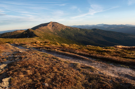 The path leading to the top of the mountain. Way to success. Driving road.