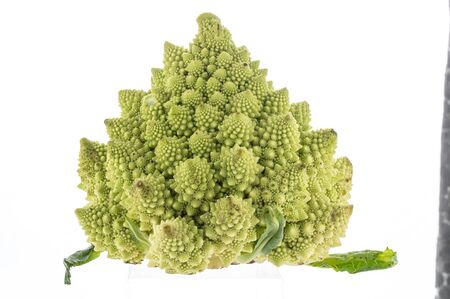 Triangle shaped cabbage on a white background. The vegetable is triangular in shape. Vegetable with spikes. Front view.の写真素材