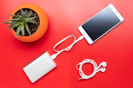 Home flowerpot and charger. Smartphone charge. Headphones and smartphone. Flat lay.