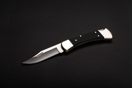Hunter folding knife with a black handle and silver bolster.