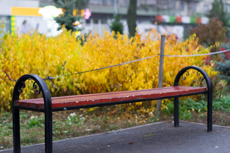 A bench for rest in the park near a beautiful yellow bush. Rest in the park.