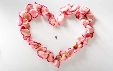 Heart of scarlet rose petals. Rose petals with texture and harsh shadows. Top.の写真素材