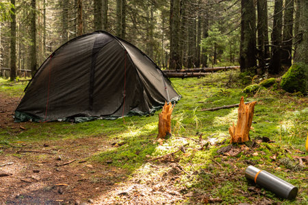 Tourist tent in the forest.