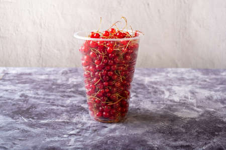 Red currants in a plastic glass. Homemade currants in a glass. Currants on the windscreen.の写真素材