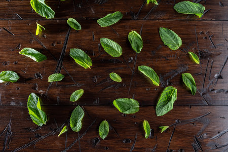 Background and texture from mint leaves. Mint leaves are scattered on the table. Hard light. Deep...