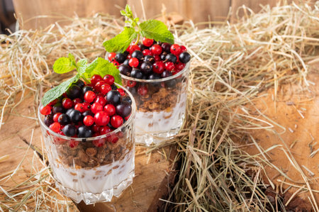 Fresh red and black currants in a glass garnished with a green mint leaf. Background with hay.の写真素材