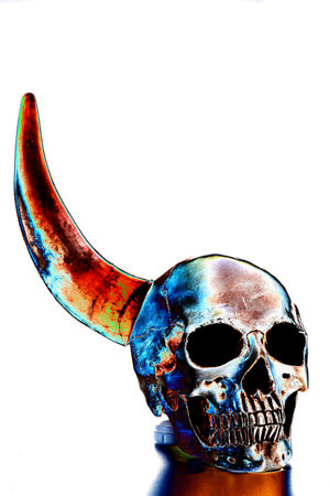 Human skull and one ram horn. Skull with a horn. Side view.の写真素材