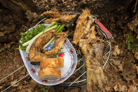 Serving food on the table.の写真素材